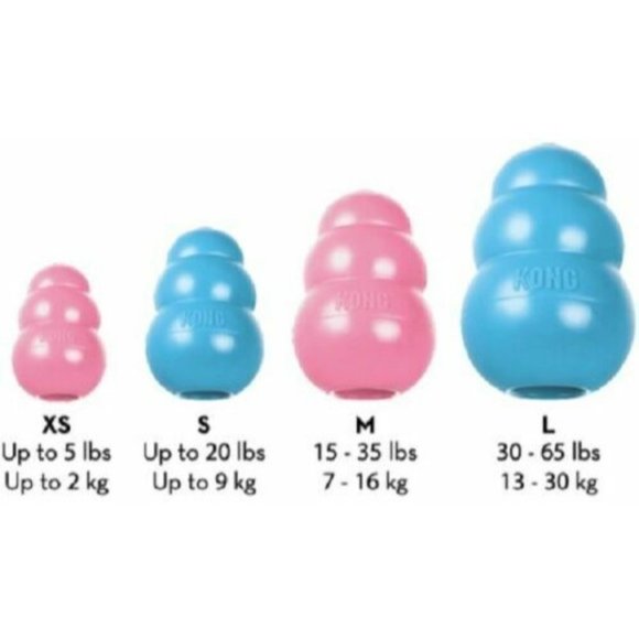 Set of 2 Kong Puppy Small Rubber Teething Dog Treat Dispenser Chew Toy K… - Picture 6 of 7